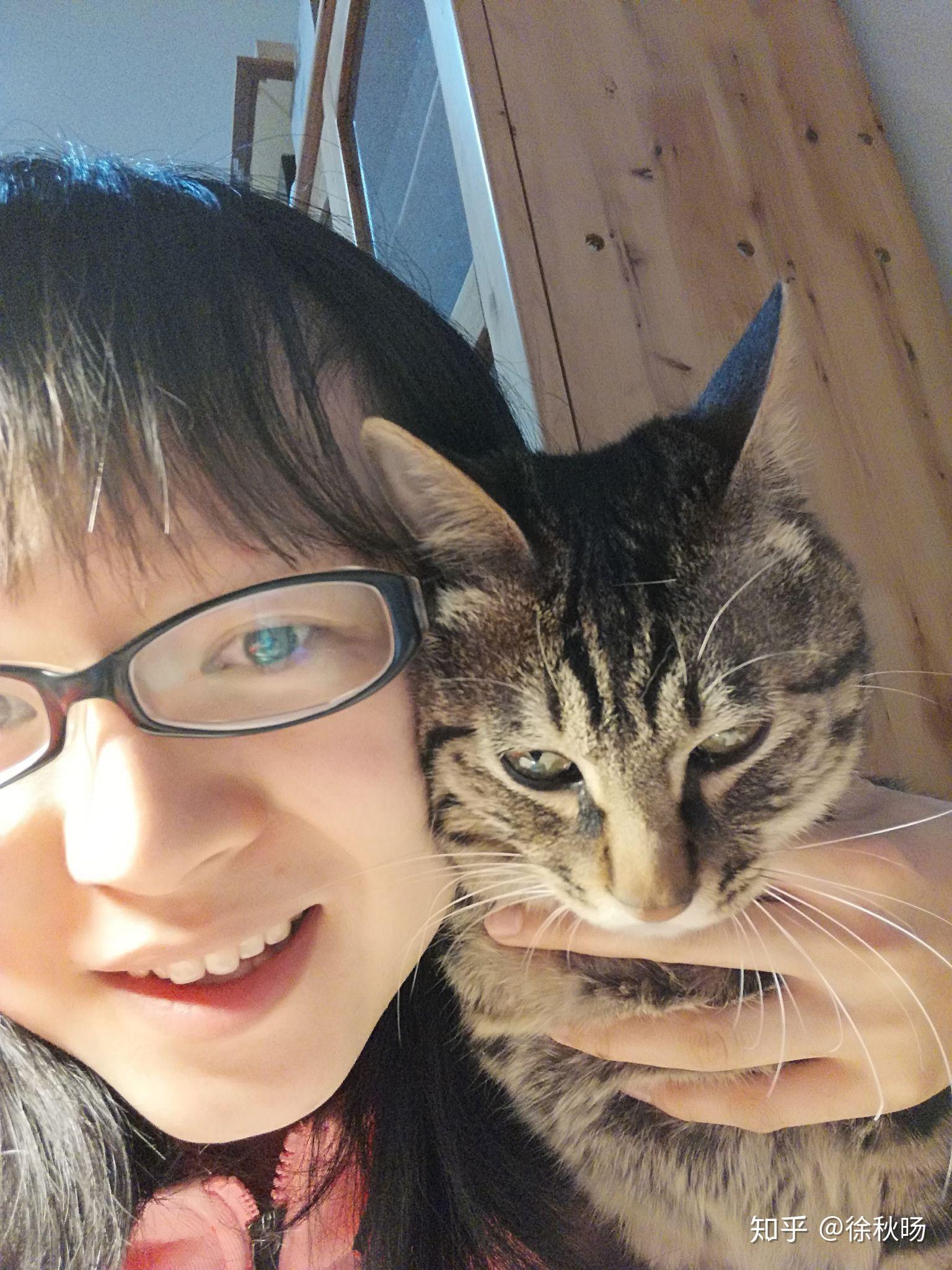 如何拍出人与猫咪的漂亮的合影?