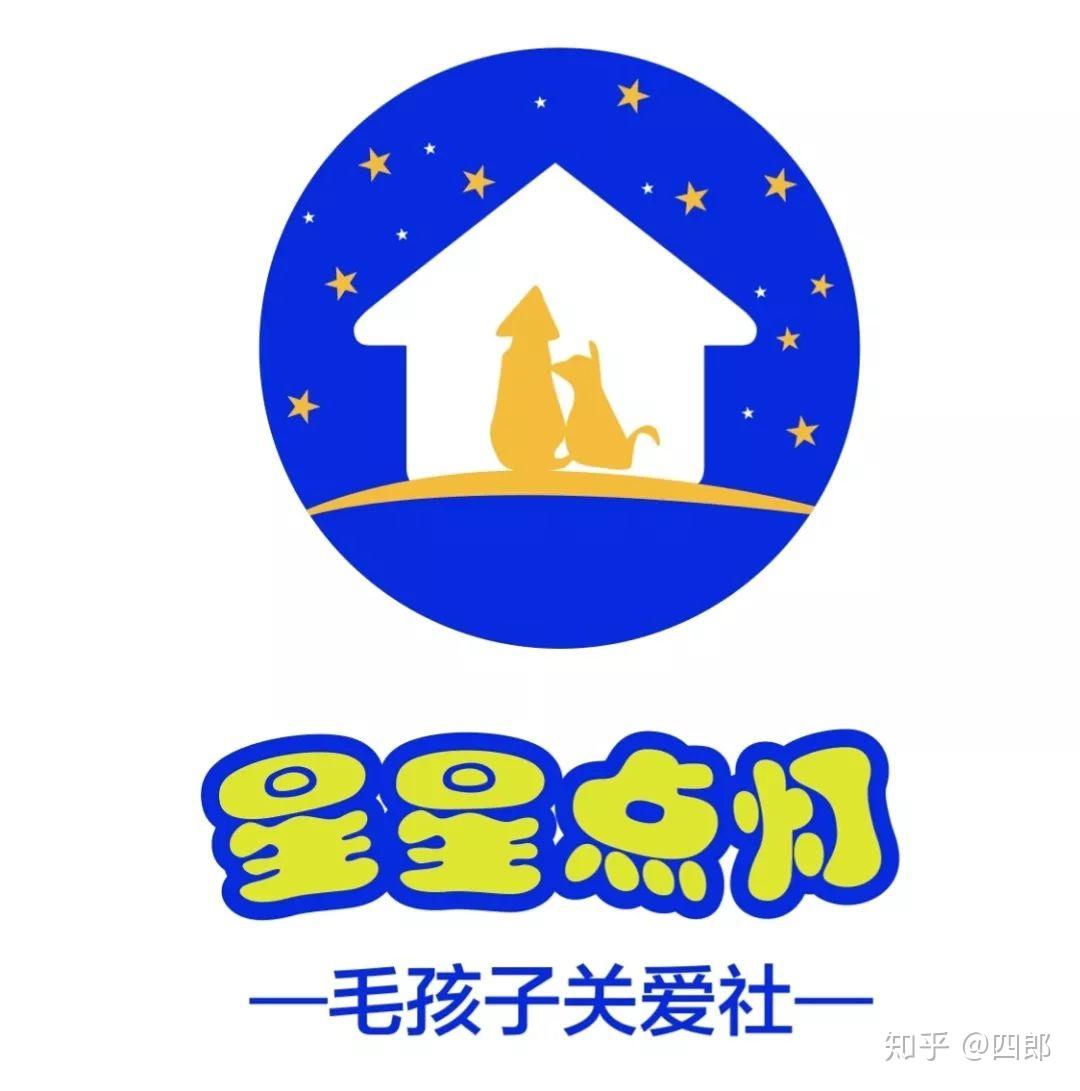 想让这些流浪毛孩子吃上一顿年夜饭"提莫"与星星点灯毛孩子关爱社这次