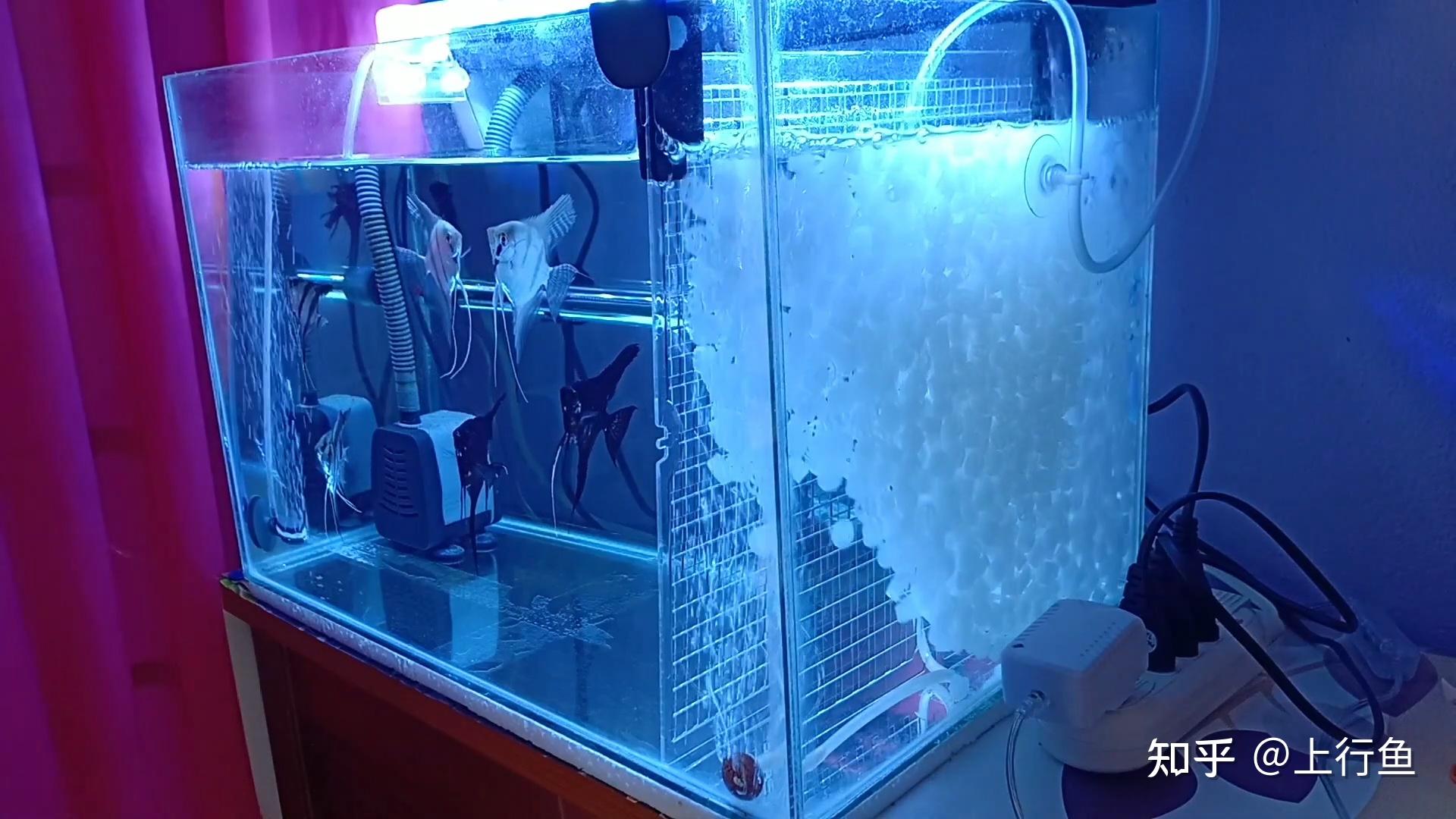 为什么反气举都是新手用