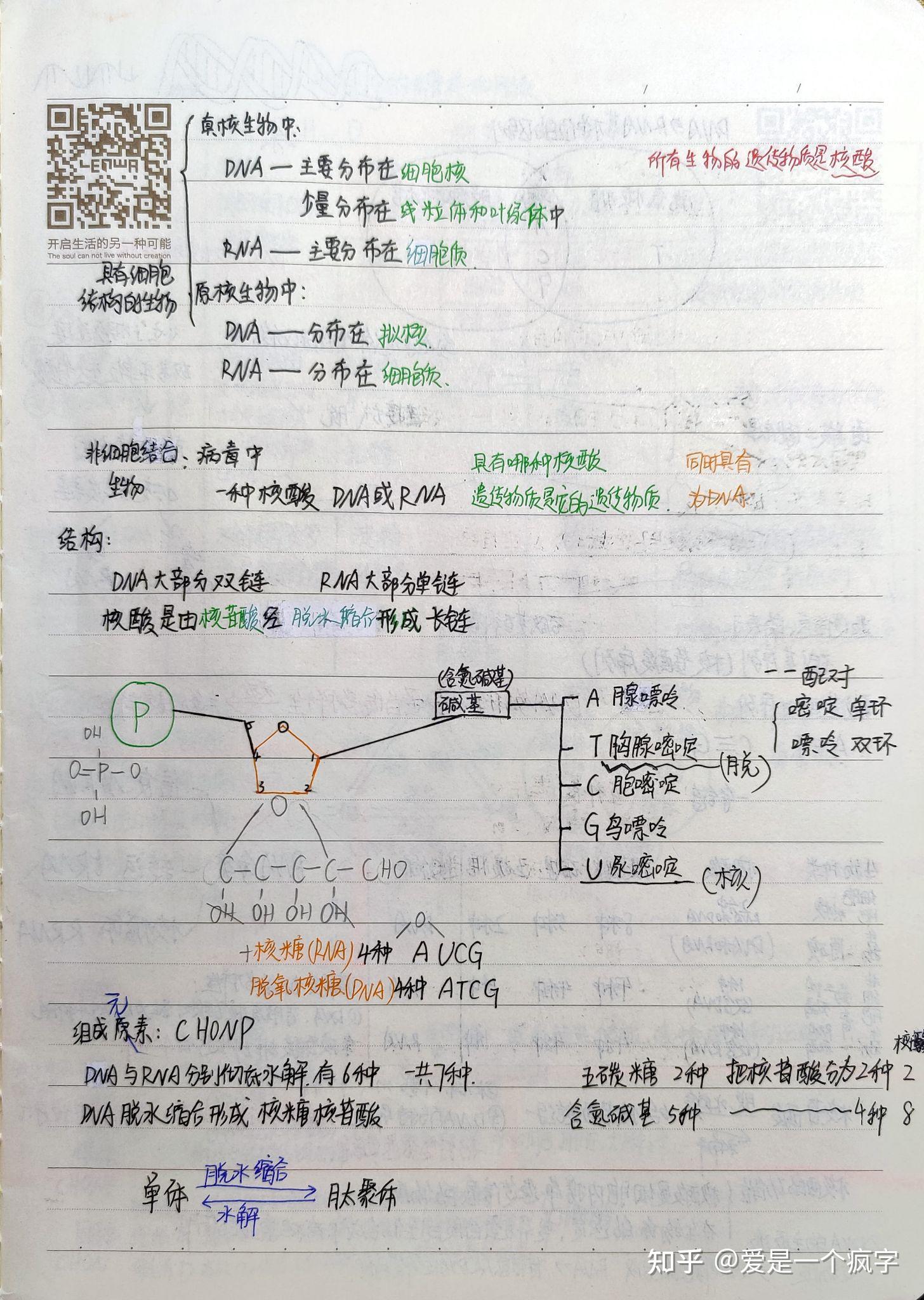 高中生物必修一笔记整理