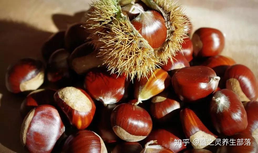 入秋后你可以吃这十样东西