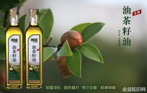 耒陽油茶