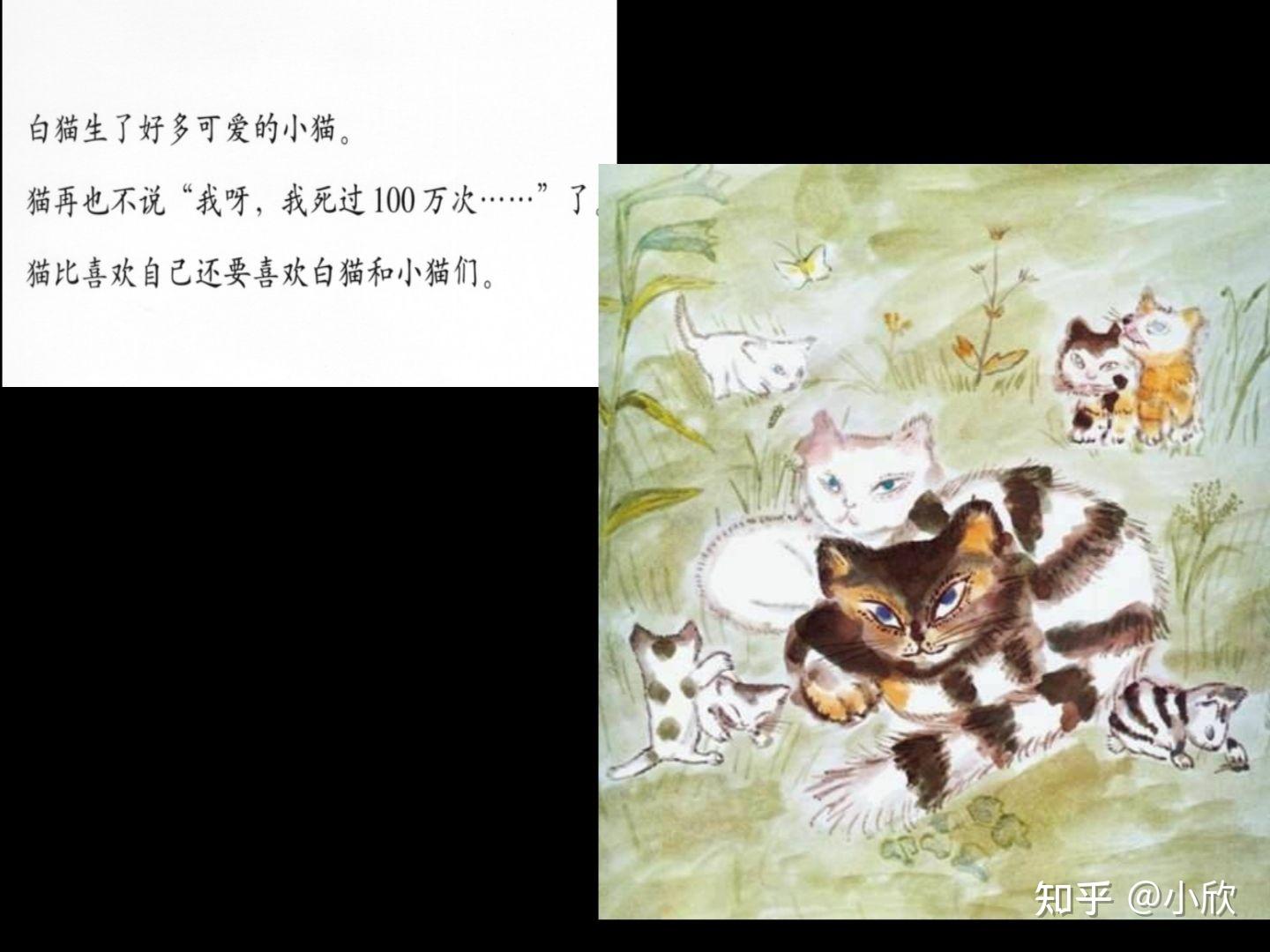 ppt绘本故事|《活了100万次的猫》 - 知乎