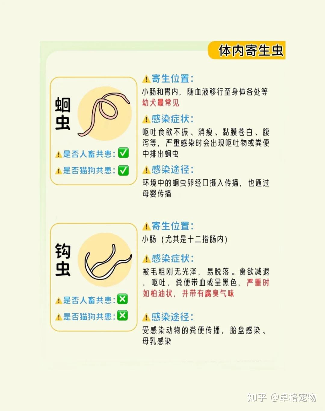 14种狗狗常见寄生虫图鉴12种人狗共患