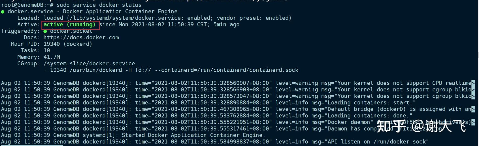 Ubuntu docker 