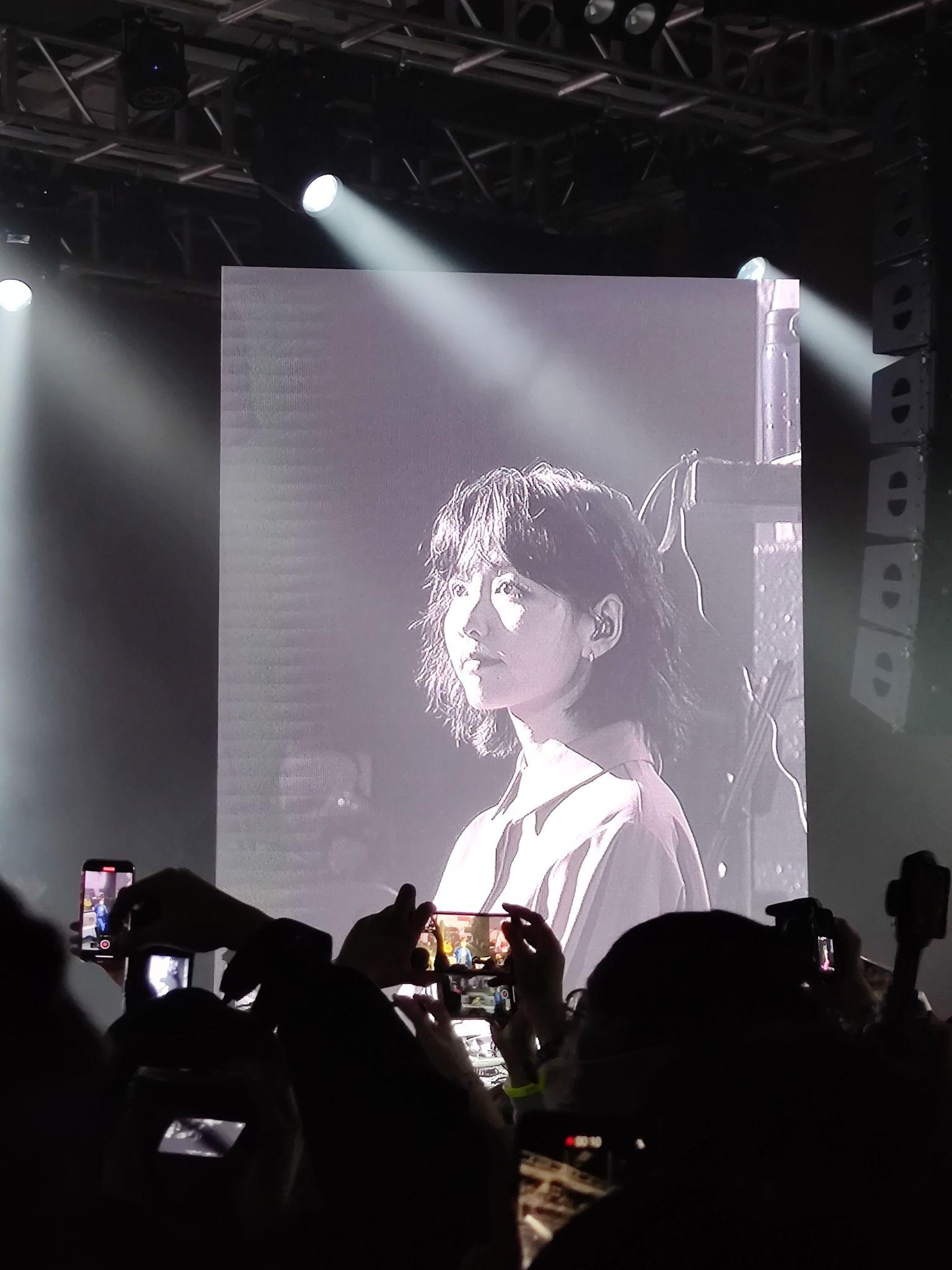 请给我房东的猫的高清无水印图好吗