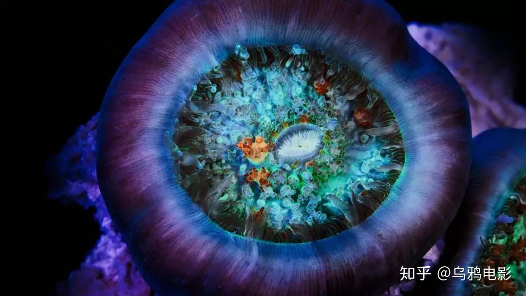 到极地的冰冷海洋,从波涛汹涌的海面,到暗流涌动的海底