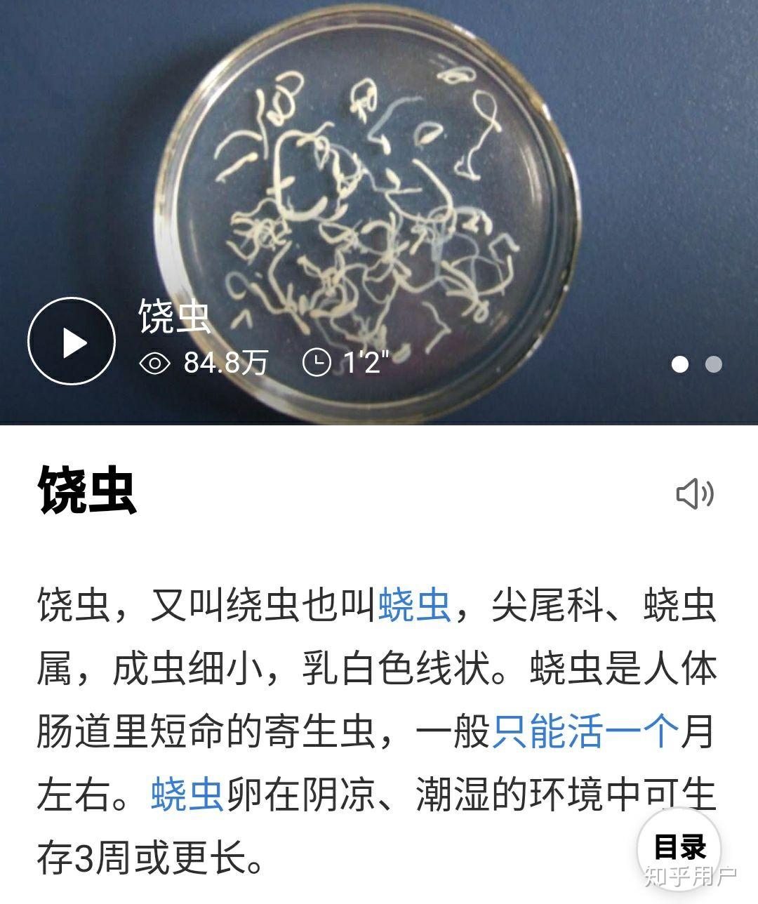 寄生虫病有多可怕