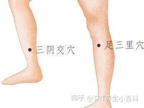 艾仲医