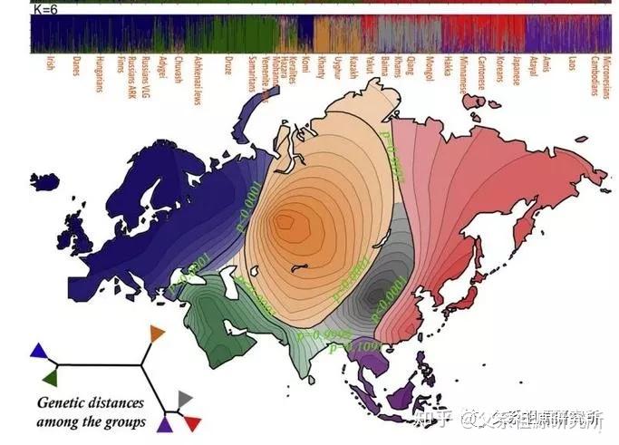 y染色体单倍群可以划分人种吗