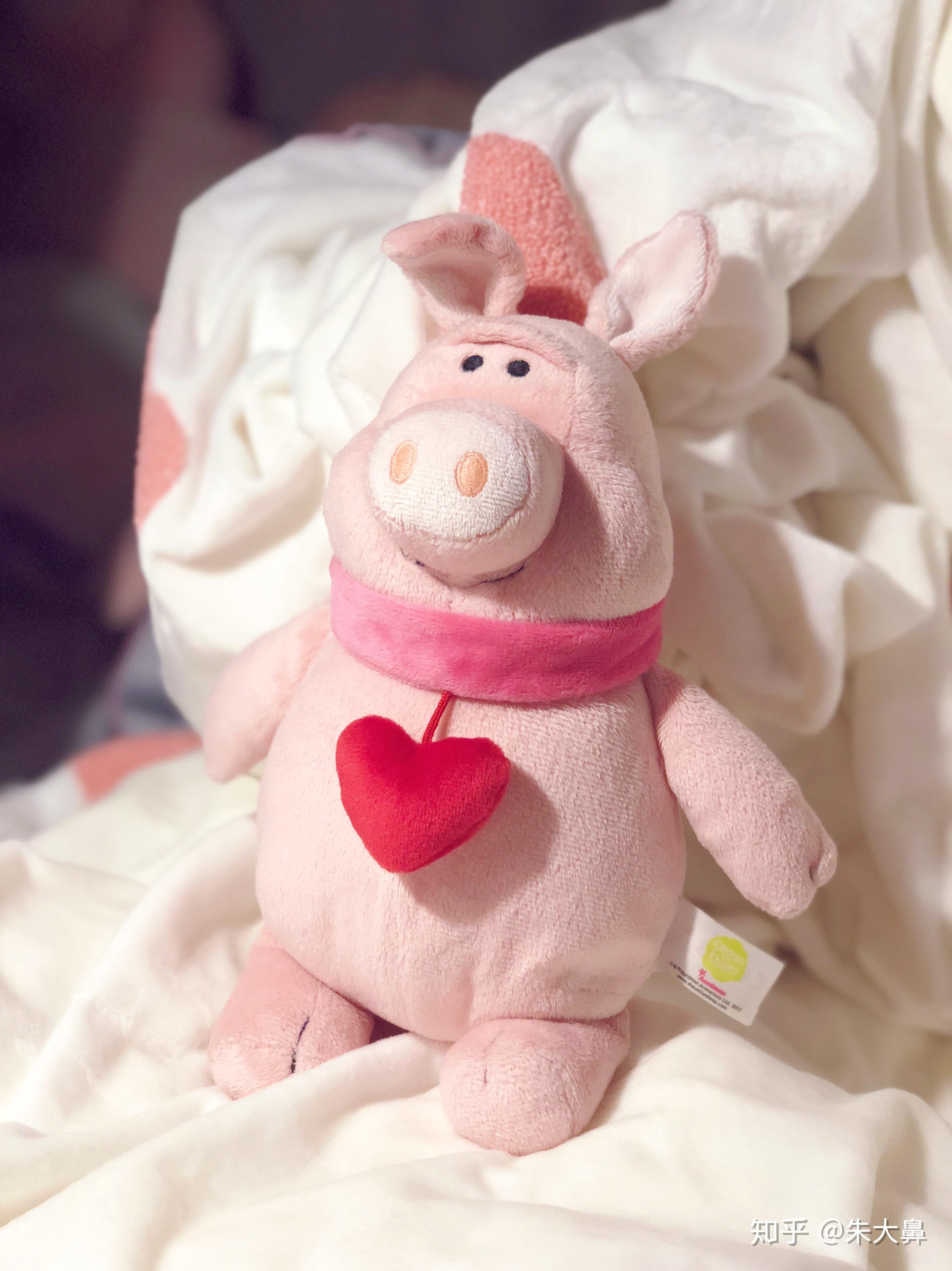 都说nici毛绒玩具好,到底好在哪? - 知乎