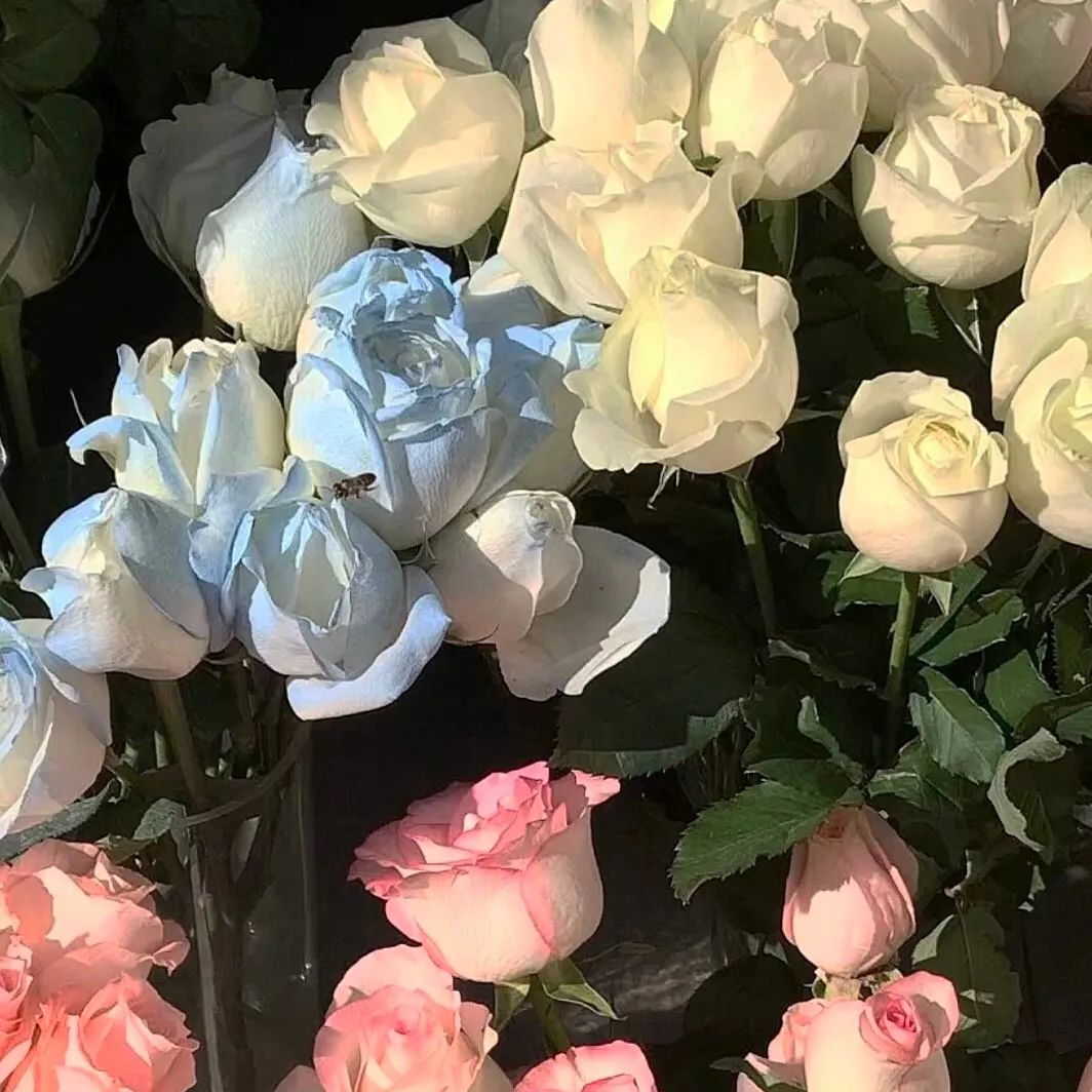 有哪些好看的微信背景图? - 知乎