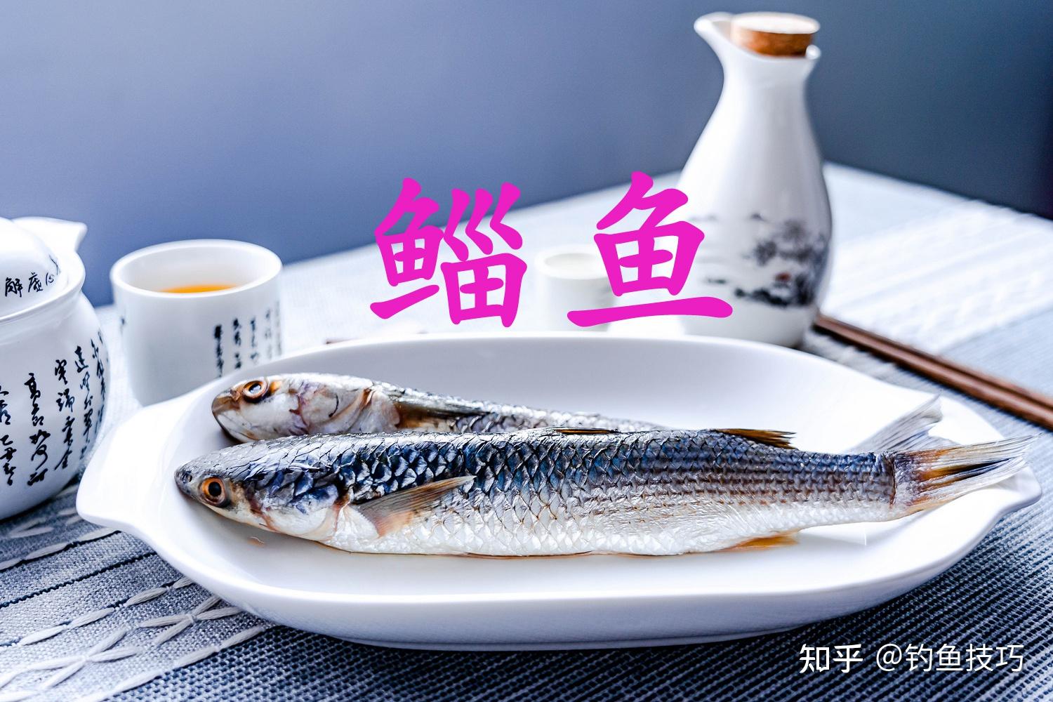 鲭鱼的做法,鲭鱼的习性,鲭鱼的营养价值,鲭鱼配什么好吃_齐家网