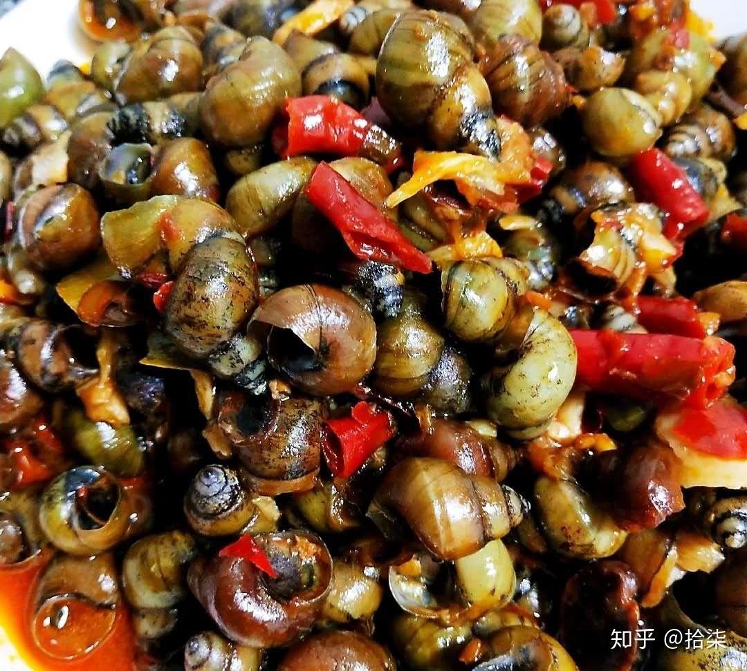 夜宵硬菜"香辣田螺"在家也能做出好味道,一嗦一个太美味了.