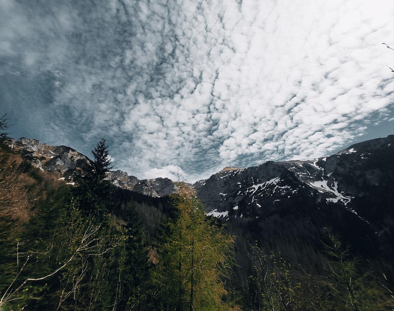 岭尚时代园学区划分