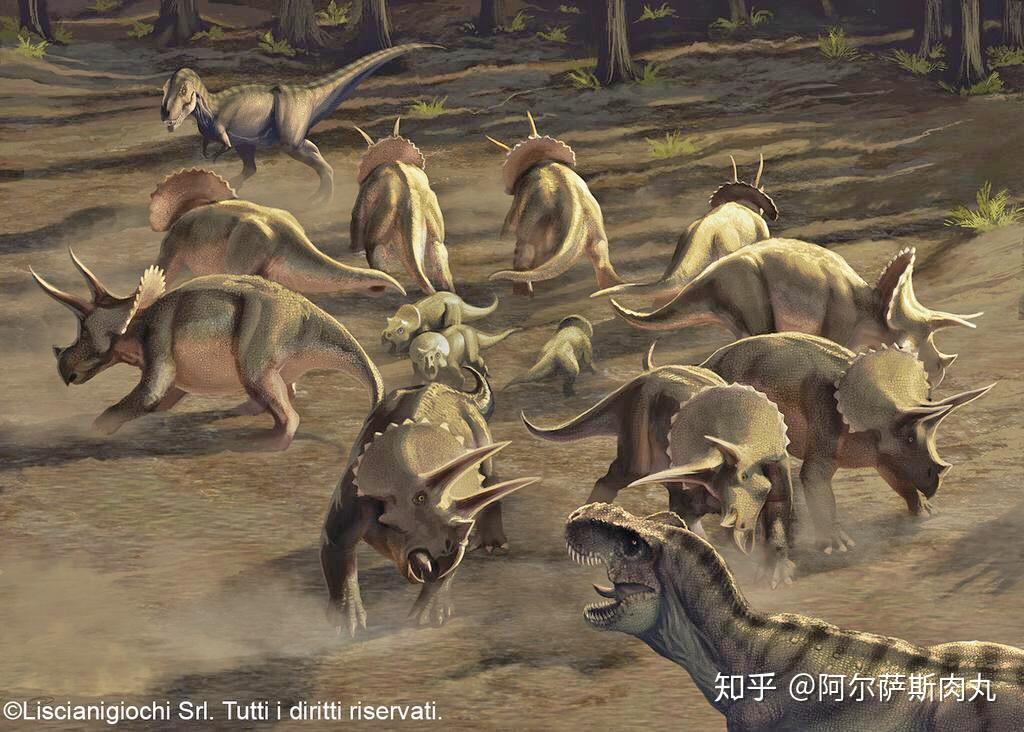 在白垩纪大灭绝事件中,随同恐龙灭绝和幸存下来的主要是哪些生物? - 知乎