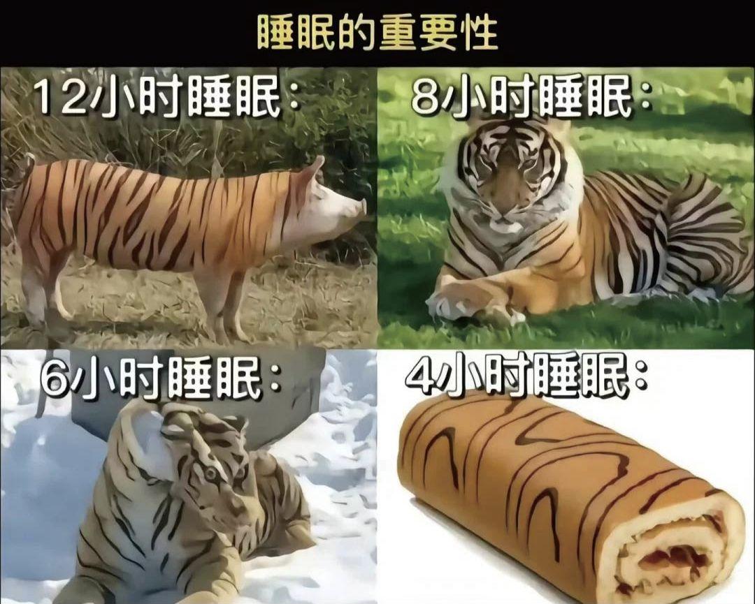 有哪些有趣的互联网MEME图/梗图/迷因图? - 知乎