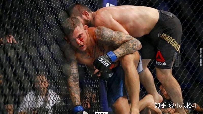 在ufc242"小鹰"哈比布赢下"钻石"普瓦里尔后,"小鹰"把当晚比赛的拳套