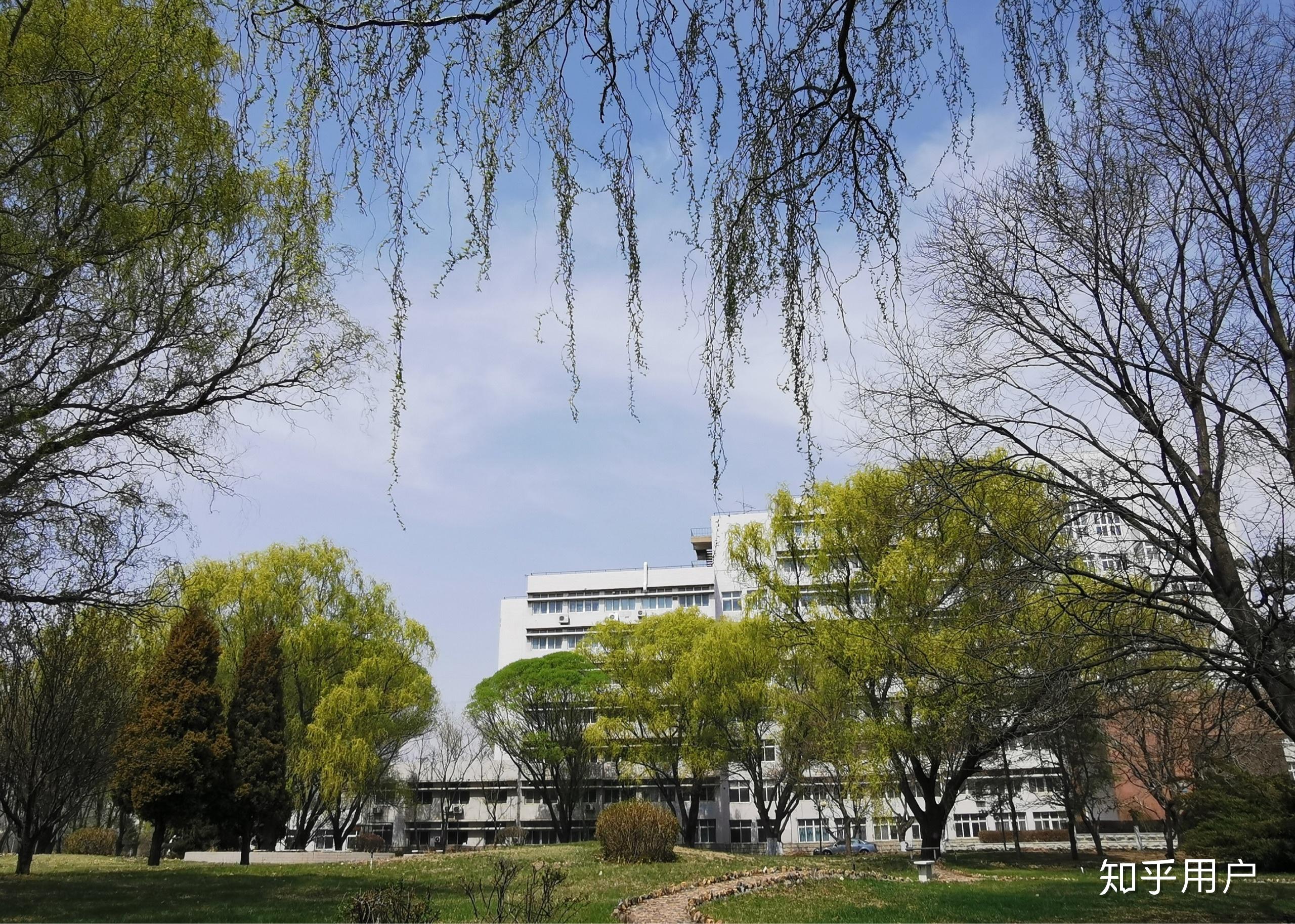 锦州医科大学风景图片