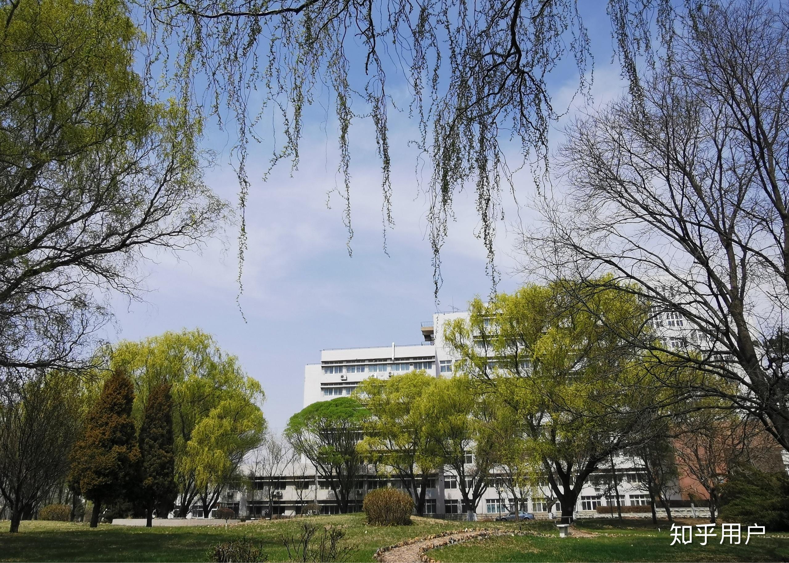 锦州医科大学真的有那么不堪吗,请学长学姐回答一下? - 知乎