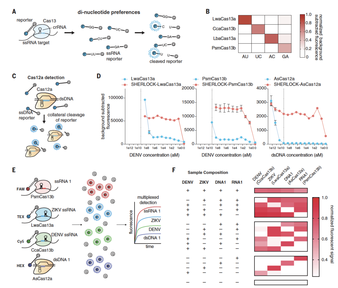 围观丨哪些生物技术在新冠病毒诊断/检测中应用？ 知乎