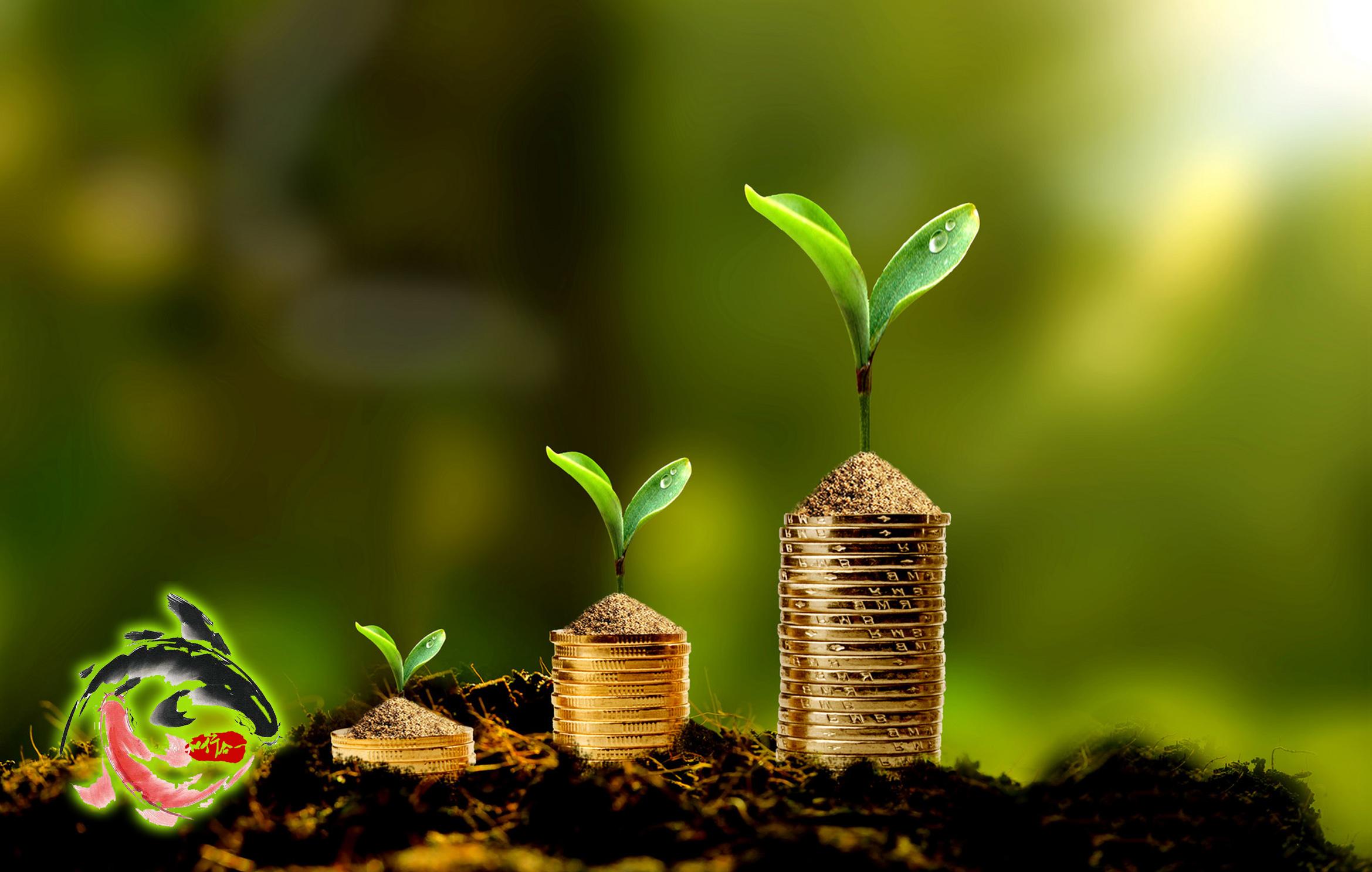 女人炒股比男人更厉害吗?