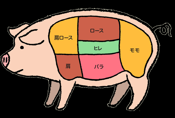 修士士申请有英语项目(洋猪肉)和日语项目(和猪肉)你看选择哪个?