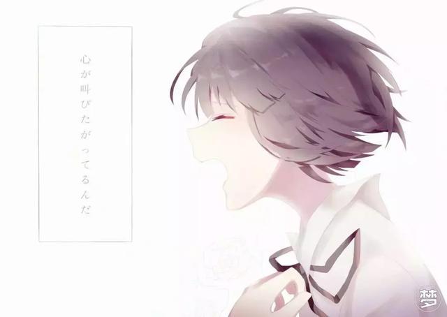 脚本家 知乎
