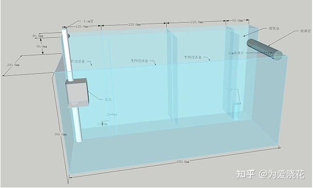 鱼缸的构造图解图片