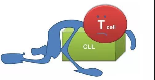 專家專欄如何挽救為我們奮力抵禦外敵而累趴的免疫t細胞