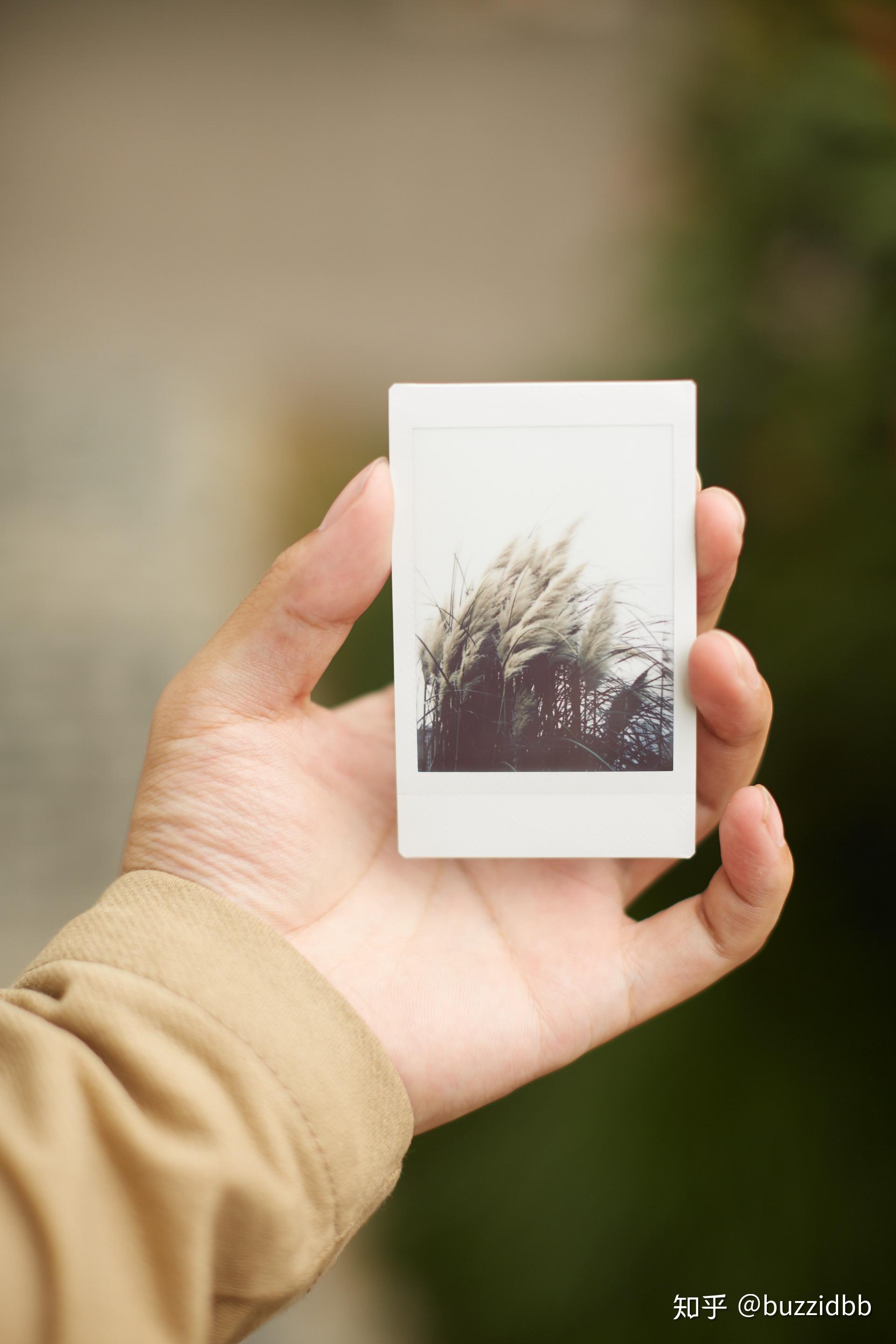 能给我一张你拍的最喜欢的照片嘛? - 知乎