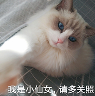 请问现在有哪位大神有靠谱的网赚项目啊~!?