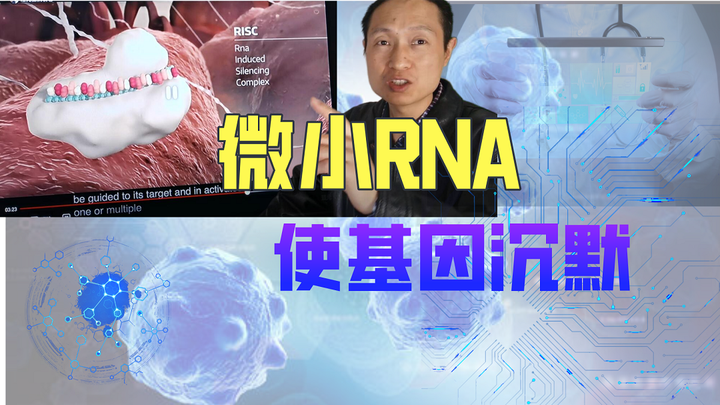 [模拟动画]展示让基因闭嘴的微小RNA的整套流程 - 知乎