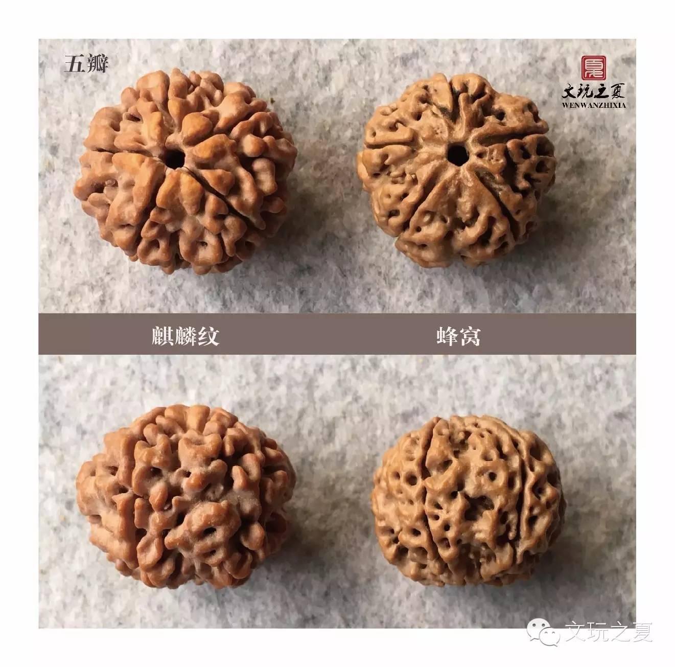 文玩之夏, 告诉你关于金刚的那些事儿。金刚知识之肉度篇 - 知乎