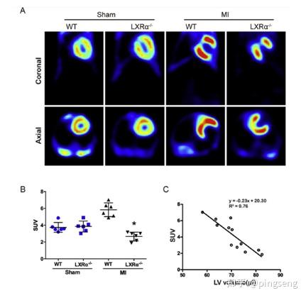 小动物PET/CT在心脏分析中的应用（一） - 知乎