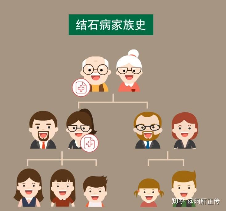 胆石病家系中存在明显的母系遗传倾向