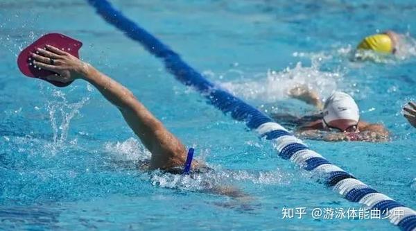 自由泳抓水动作全面解析与训练动作