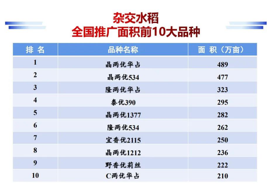 品種包括晶兩優 534,晶兩優華佔,隆兩優華佔,泰優 390 和隆兩優534等