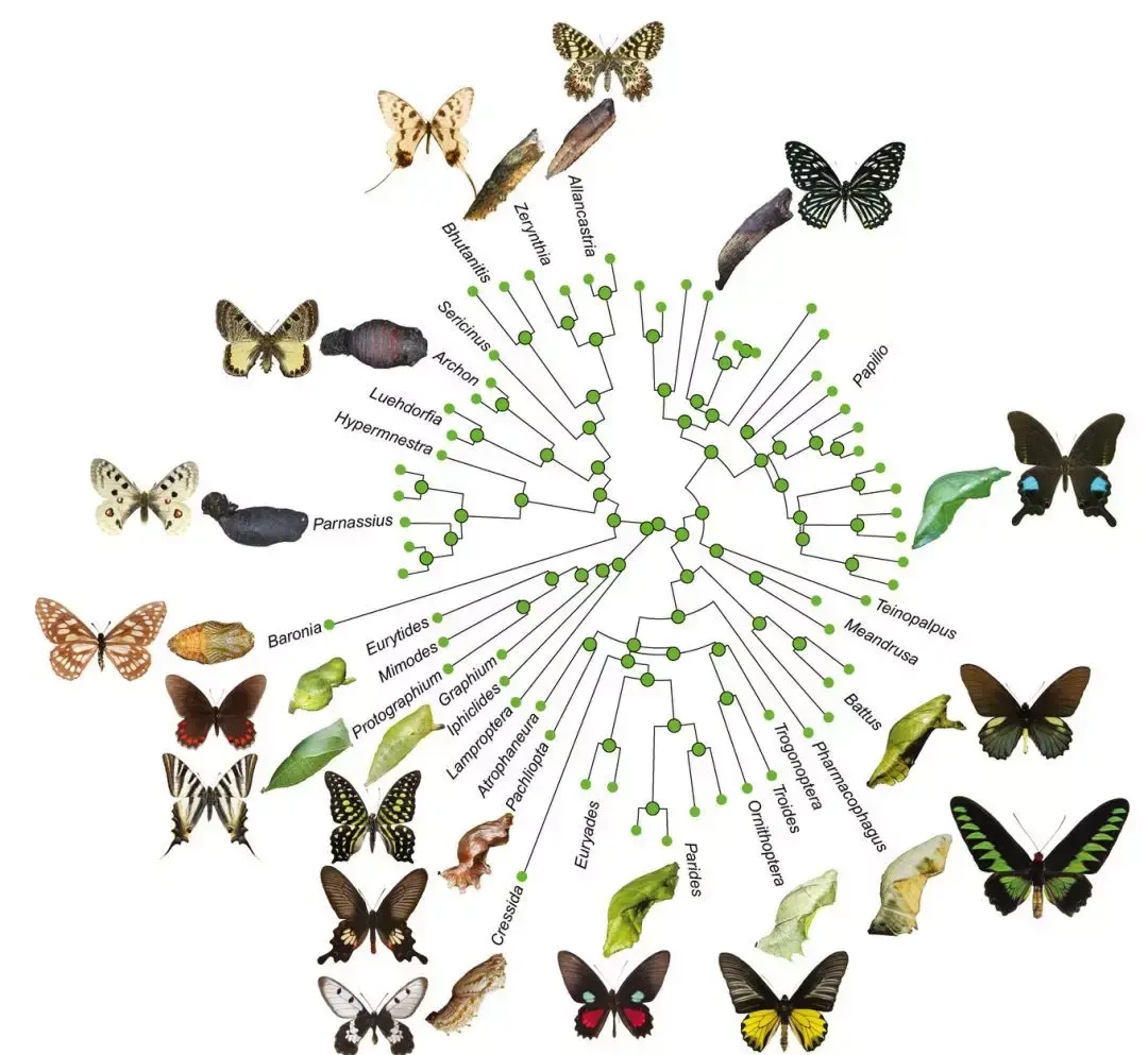 生态与进化的哲学