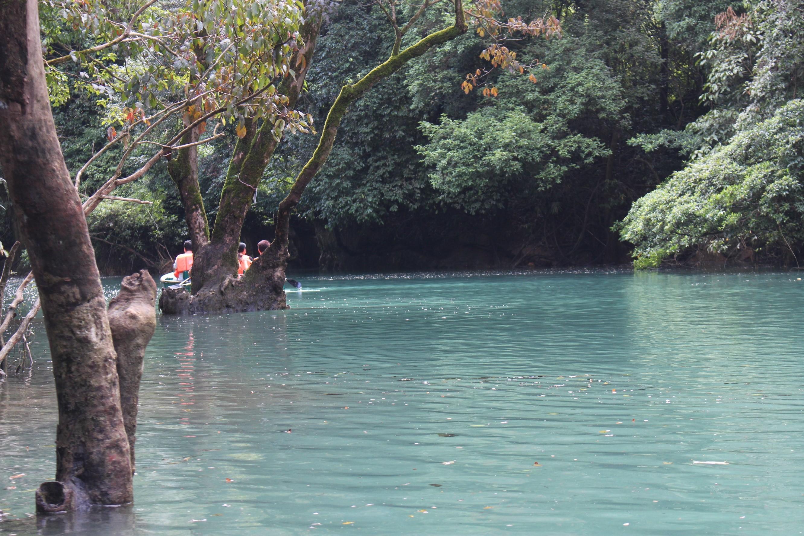 去贵州玩,有什么好的旅游攻略?-去贵州旅游怎么玩?看别人在贵州5天4晚亲自体验(图文)