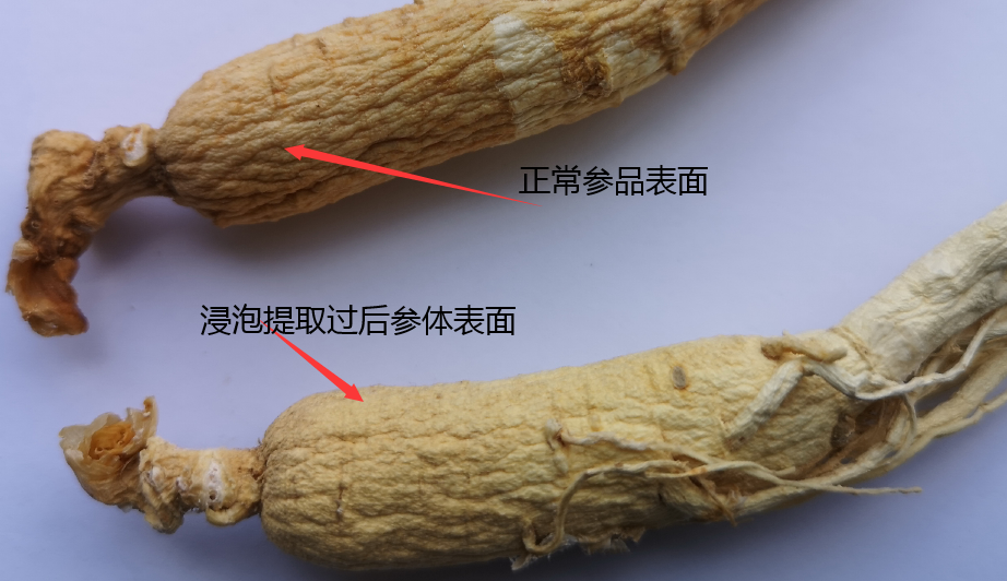 人参保存不好 就易生虫出现白色粉状 变质 过期风化 须注意 知乎 人参保存不好 就易生虫出现白色粉状 变质 过期风化 须注意 知乎