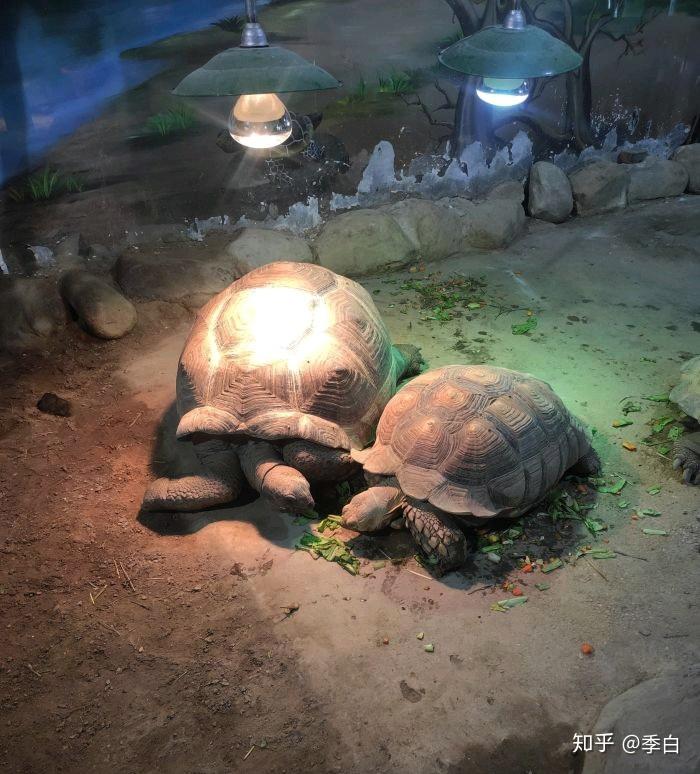 太原動物園一日遊攻略