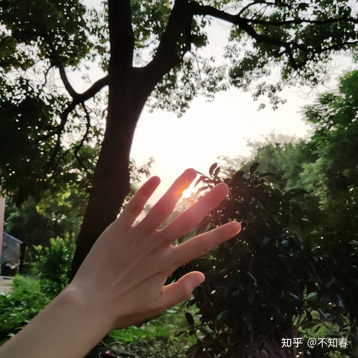 有哪些好看的手和阳光的图片? - 知乎