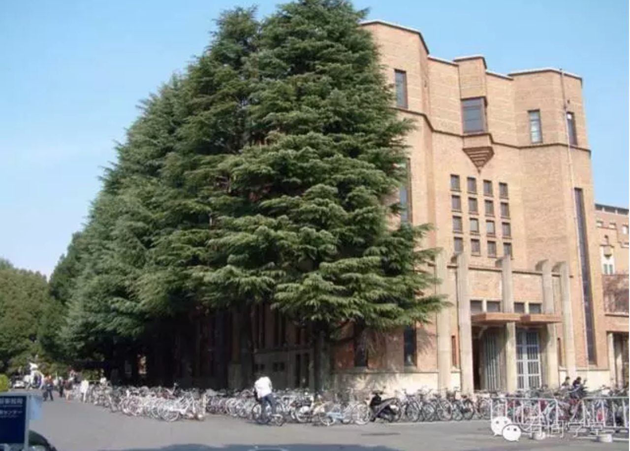 在京都大学 (Kyoto University) 就读是怎样一番