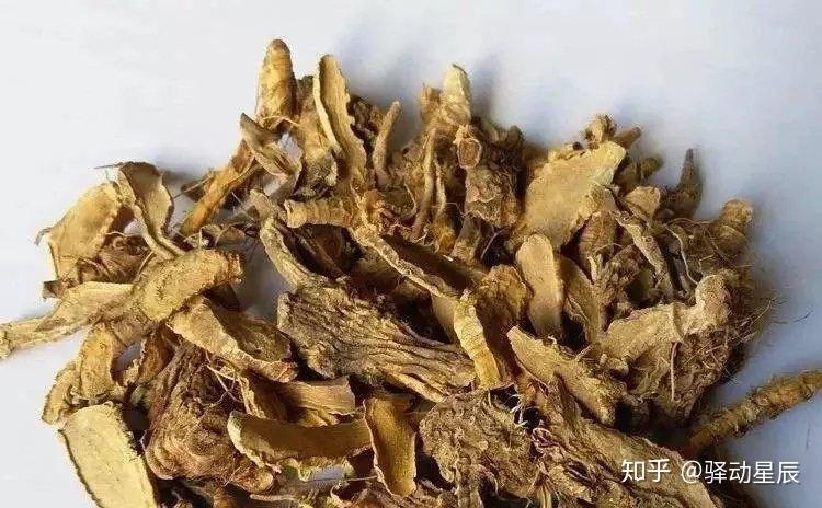 认识中草药——鸢尾 - 知乎