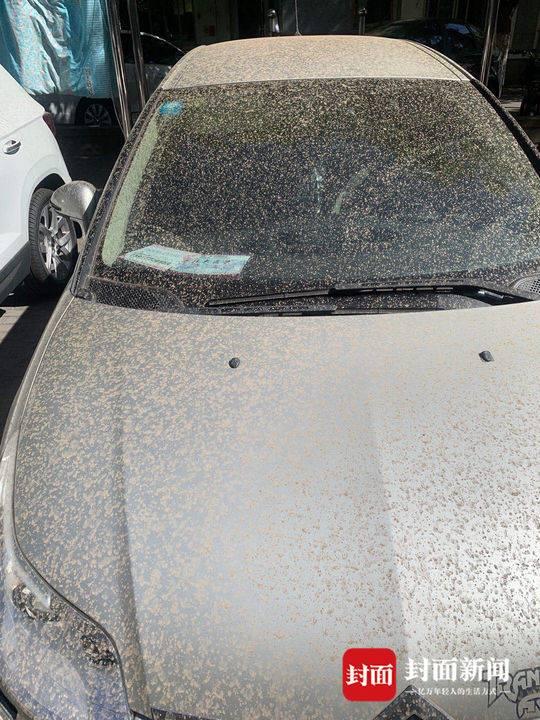 5 月 11 日北京市气象台发布沙尘蓝色预警信号,第