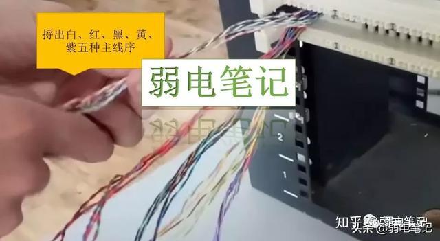 最全图文大对数电缆端接到110(语音)配线架,电话配线架打线 图8 最全图文大对数电缆端接到110(语音)配线架,电话配线架打线 图8