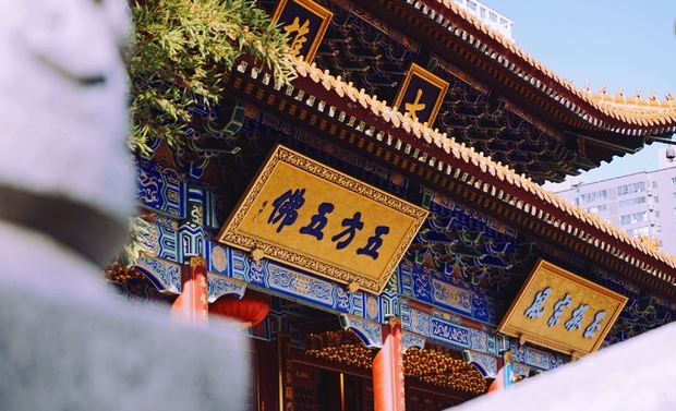 4,不打算登塔的话,就别进大慈安寺了,离它不远的小寨有个大兴善寺也是