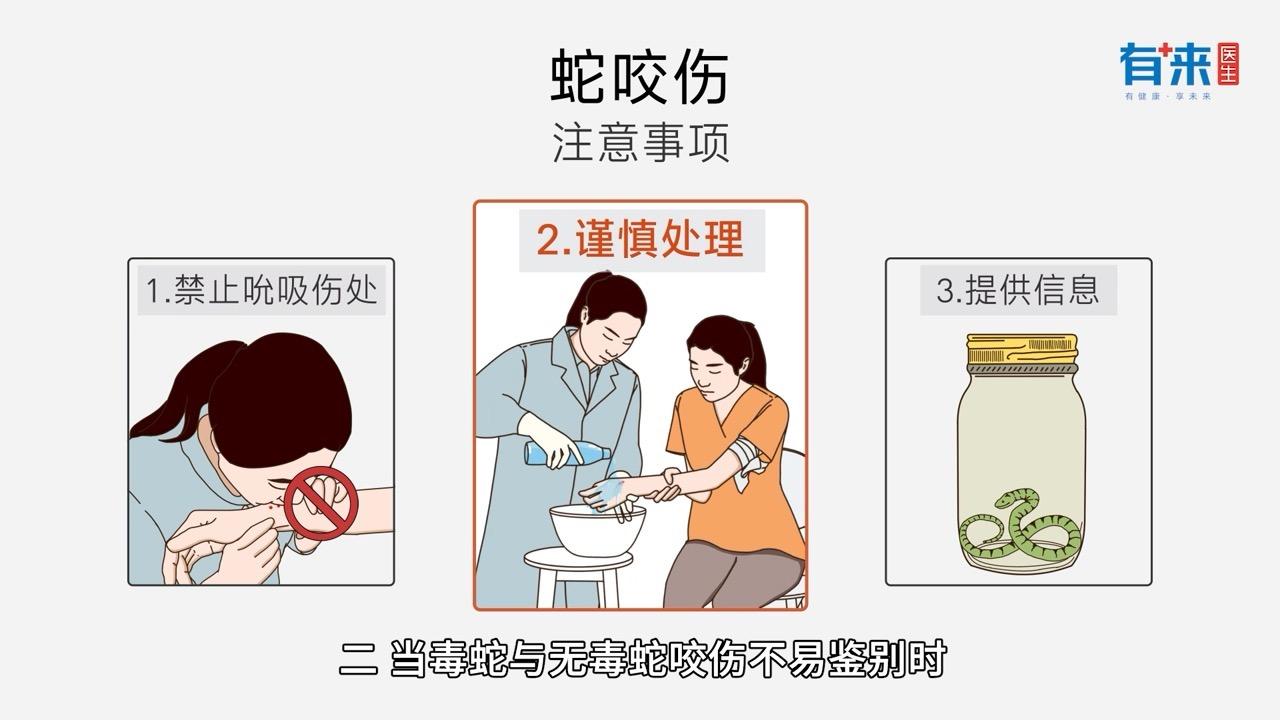 被蛇咬伤怎么急救?