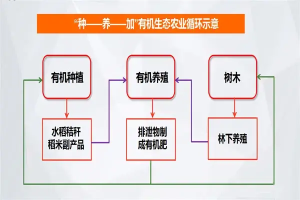 以秸秆为纽带的循环模式以秸秆为纽带的农业循环经济模式,即围绕秸秆